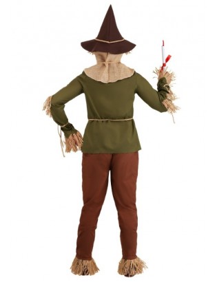 Plus Size Men's Wizard of Oz Scarecrow Costume